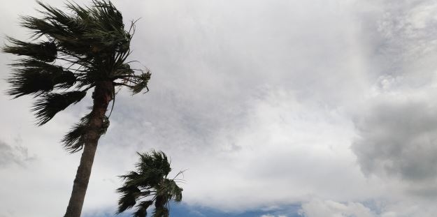 台風3号（令和第１号）のたまご2019年が発生？GW期間中の影響と米軍JTWCの最新進路予想と気象庁